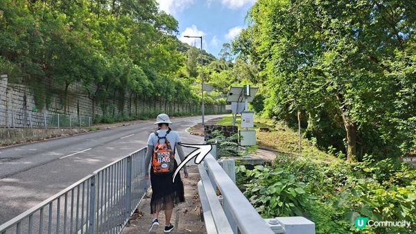 夏季石澗玩水系列💦【大嶼山鳳大北坑💦】