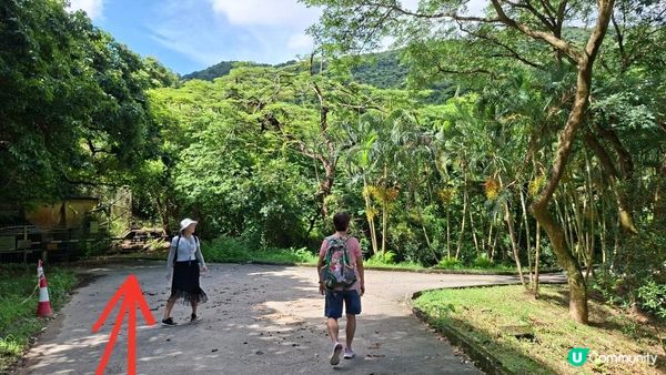 夏季石澗玩水系列💦【大嶼山鳳大北坑💦】