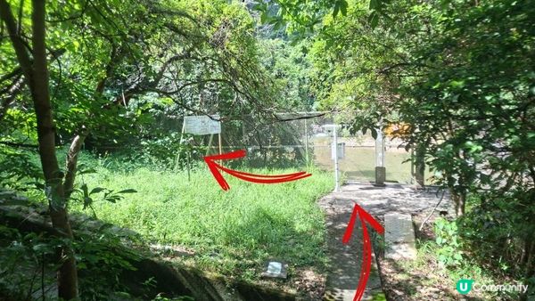 夏季石澗玩水系列💦【大嶼山鳳大北坑💦】