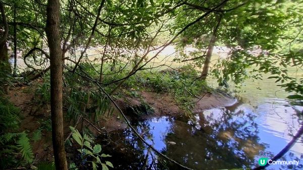 夏季石澗玩水系列💦【大嶼山鳳大北坑💦】