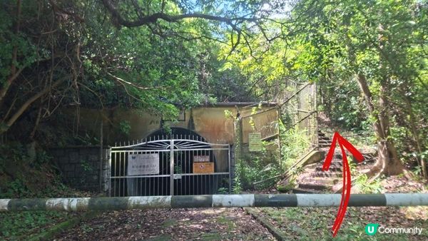 夏季石澗玩水系列💦【大嶼山鳳大北坑💦】