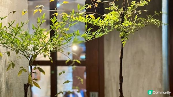 大熱人氣手工意粉 ♥ 銅鑼灣 La Volta