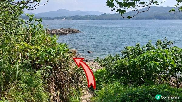 夏季玩水系列💦【西貢橋咀島廈門灣背後石灘🤿🎽👙】