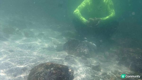 夏季玩水系列💦【西貢橋咀島廈門灣背後石灘🤿🎽👙】