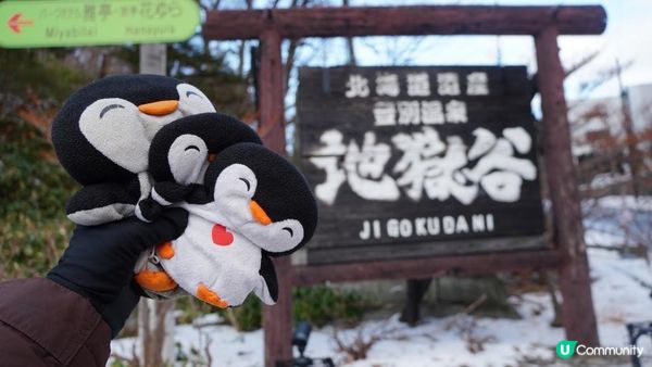 【北海道自由行】登別地獄谷一日遊攻略🌋4大美食景點 ＋推薦人氣鬼辛拉麵 ＋ 閻王變臉秀 ＋ 浸免費大湯沼川天然足湯 ＋住宿分享｜【冬日玩轉東日本系列 EP4】｜momojoejoe