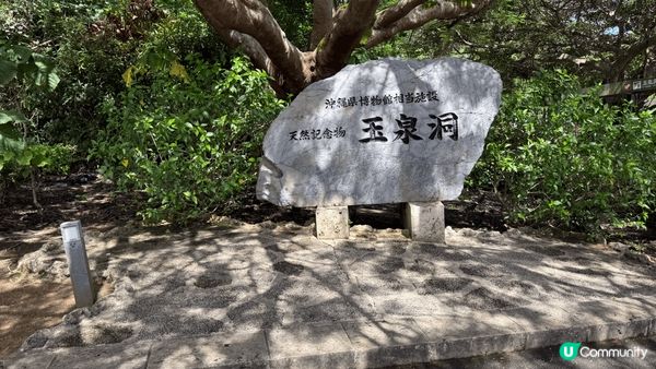 我想去全港首個熱氣球節～ #維港熱氣球之旅 #UCreato...