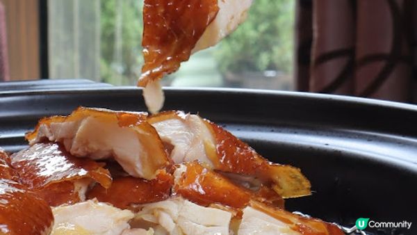 陳皮健脾養生菜 ♥ 凱悅軒