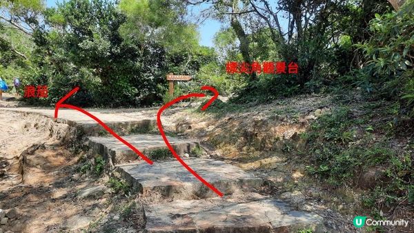 【西貢行山篇】獨孤山、浪茄灣、標尖角觀景台