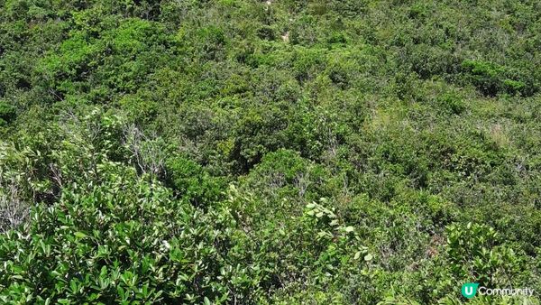 【西貢行山篇】獨孤山、浪茄灣、標尖角觀景台