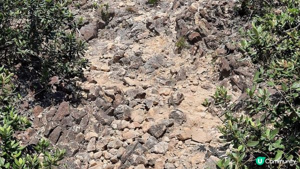 【西貢行山篇】獨孤山、浪茄灣、標尖角觀景台