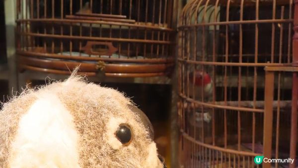 漫遊香港 - 中環大館 光影邊緣的電影世界