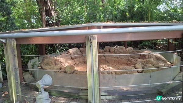 休閒打卡系列📸【馬灣1868彩虹屋📸🥰】