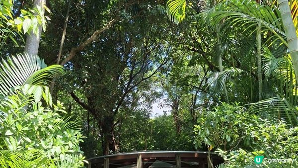 休閒打卡系列📸【馬灣1868彩虹屋📸🥰】