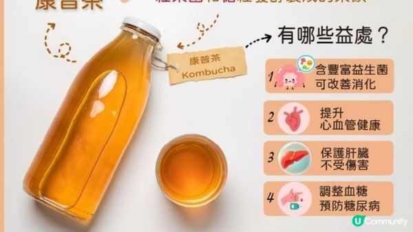 #LadyGaga #Madonna 力推必飲🥤康普茶