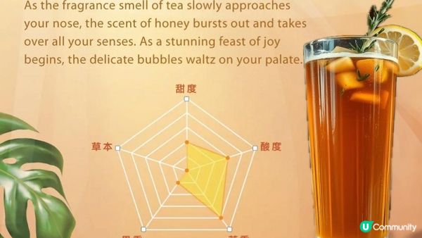 #LadyGaga #Madonna 力推必飲🥤康普茶