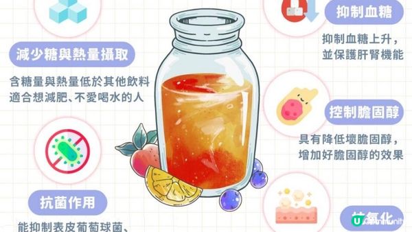 #LadyGaga #Madonna 力推必飲🥤康普茶