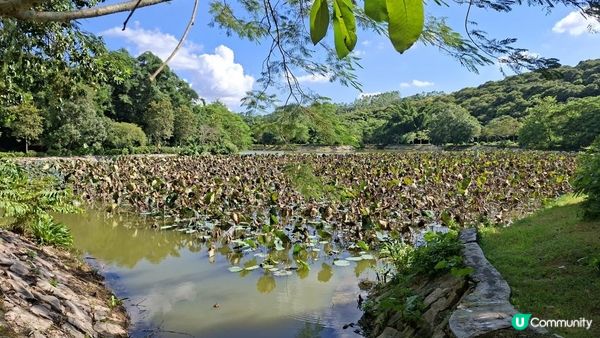 【惠陽三日兩夜逍遙遊】葉挺將軍紀念館、秋長谷里、水杉濕地公園、淡水老城