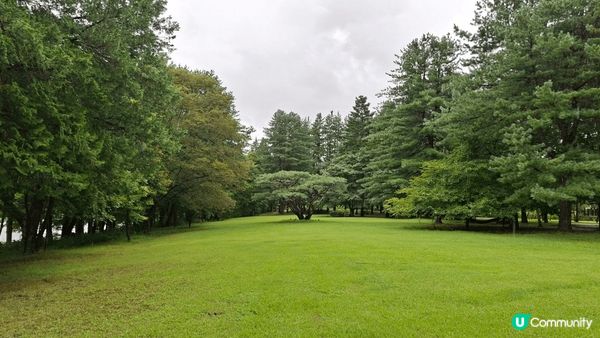 位於首爾嘅南怡島，島不算太大，緩緩步行兩三個小時，就可觀賞完...