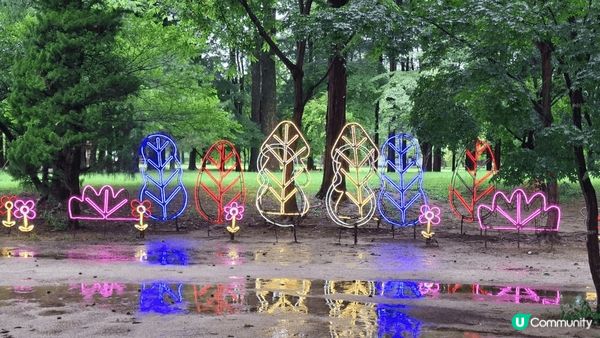 位於首爾嘅南怡島，島不算太大，緩緩步行兩三個小時，就可觀賞完...