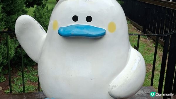 位於首爾嘅南怡島，島不算太大，緩緩步行兩三個小時，就可觀賞完...