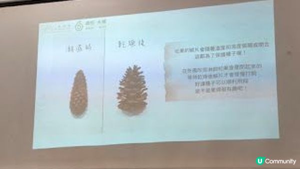 綠在大埔工作坊