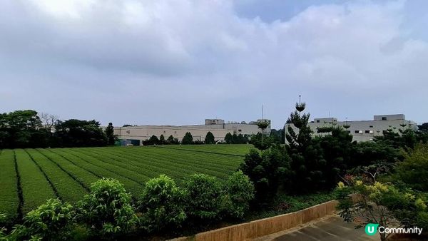 龍潭客家茶文化園區包車一日遊