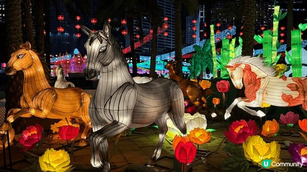 今年維園中秋綵燈會，怖置美麗，色彩繽紛，有中國特色的熊貓！