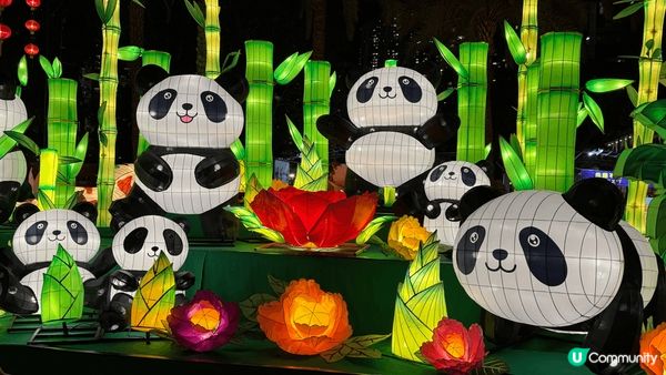 今年維園中秋綵燈會，怖置美麗，色彩繽紛，有中國特色的熊貓！