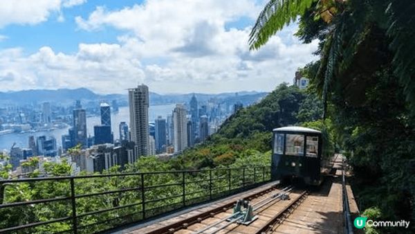 海洋公園有多姿多彩嘅展示活動、機動遊戲、動物生活體、特別係可...
