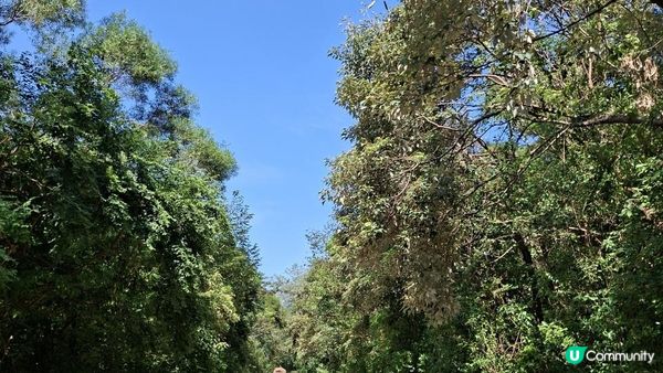 【西貢灣仔(南風灣)碼頭至海下行山篇】望樓仔、棺材角、石灰窰