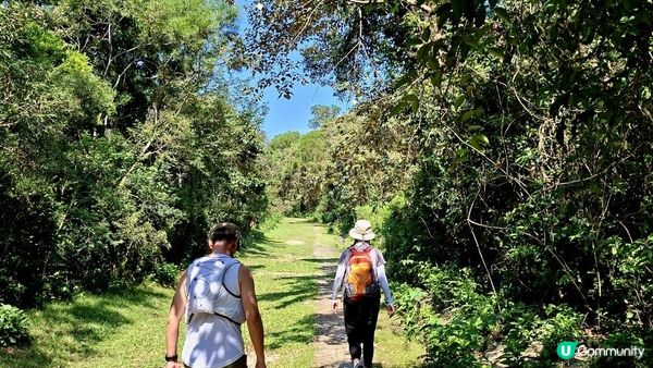【西貢灣仔(南風灣)碼頭至海下行山篇】望樓仔、棺材角、石灰窰