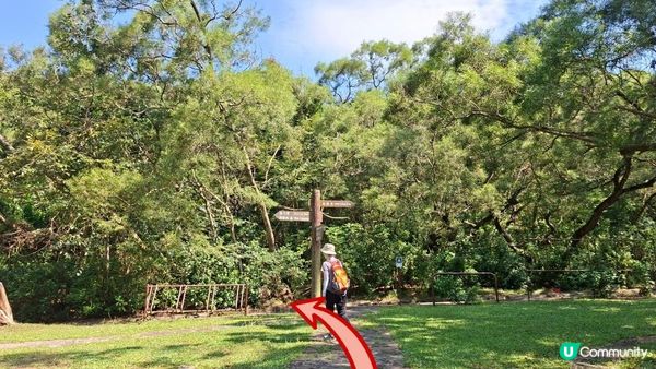 【西貢灣仔(南風灣)碼頭至海下行山篇】望樓仔、棺材角、石灰窰