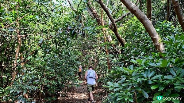 【西貢灣仔(南風灣)碼頭至海下行山篇】望樓仔、棺材角、石灰窰