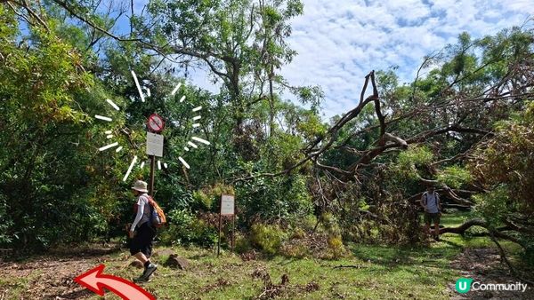 【西貢灣仔(南風灣)碼頭至海下行山篇】望樓仔、棺材角、石灰窰