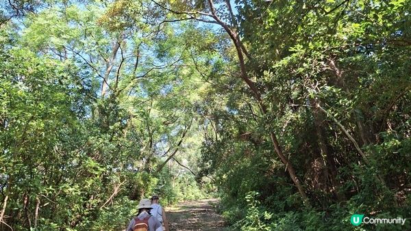 【西貢灣仔(南風灣)碼頭至海下行山篇】望樓仔、棺材角、石灰窰