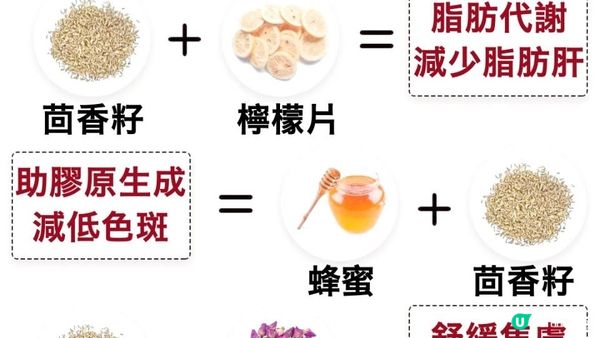 《蛇咬都唔驚》居家必備！近乎萬能☕ #茴香籽茶