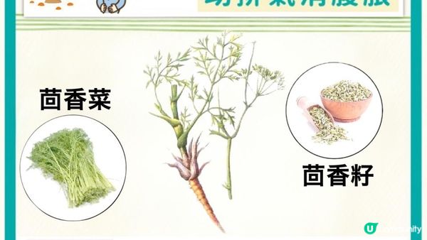 《蛇咬都唔驚》居家必備！近乎萬能☕ #茴香籽茶