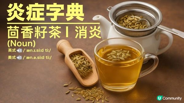 《蛇咬都唔驚》居家必備！近乎萬能☕ #茴香籽茶