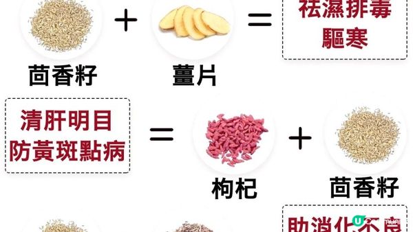 《蛇咬都唔驚》居家必備！近乎萬能☕ #茴香籽茶