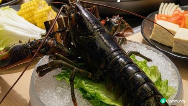 【肉多多火鍋震撼$138奢華升級】日本A4和牛vs波士頓龍蝦