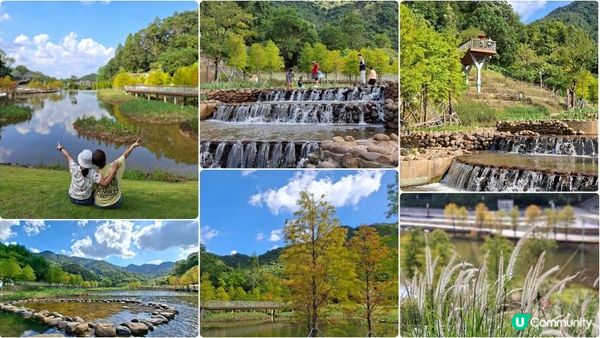 深圳坪山區田頭山【頭陂公園•有水玩💦粉黛草，落雨杉👍】