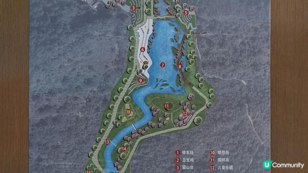 深圳坪山區田頭山【頭陂公園•有水玩💦粉黛草，落雨杉👍】