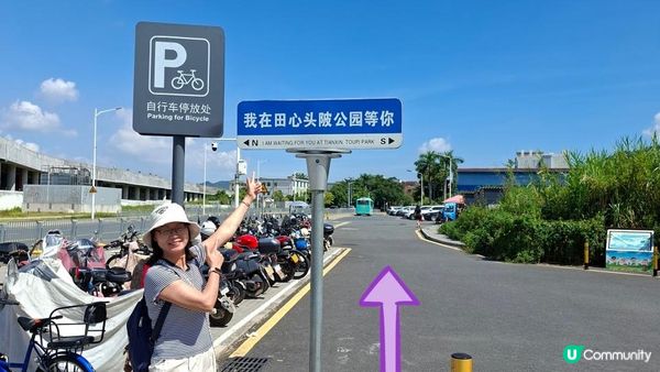 深圳坪山區田頭山【頭陂公園•有水玩💦粉黛草，落雨杉👍】