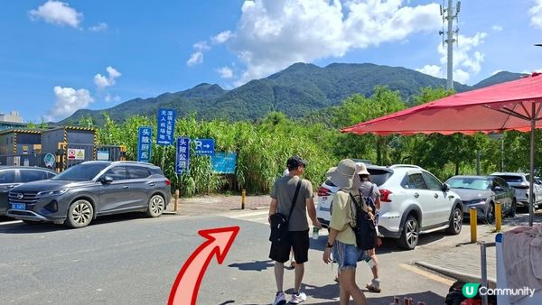 深圳坪山區田頭山【頭陂公園•有水玩💦粉黛草，落雨杉👍】