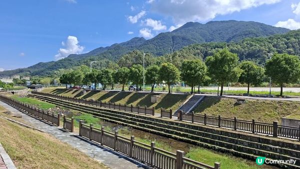 深圳坪山區田頭山【頭陂公園•有水玩💦粉黛草，落雨杉👍】