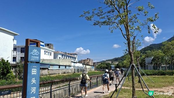 深圳坪山區田頭山【頭陂公園•有水玩💦粉黛草，落雨杉👍】