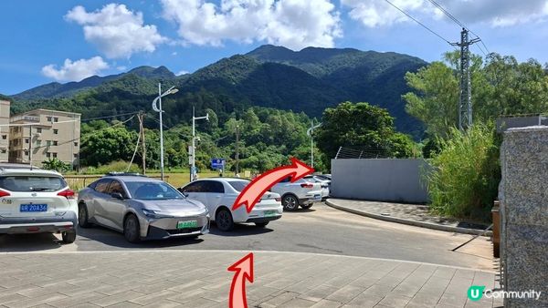 深圳坪山區田頭山【頭陂公園•有水玩💦粉黛草，落雨杉👍】