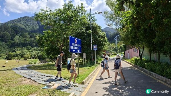 深圳坪山區田頭山【頭陂公園•有水玩💦粉黛草，落雨杉👍】