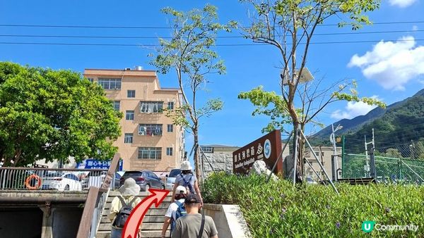 深圳坪山區田頭山【頭陂公園•有水玩💦粉黛草，落雨杉👍】