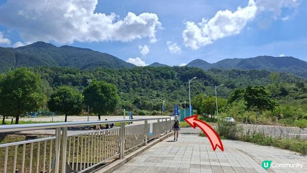 深圳坪山區田頭山【頭陂公園•有水玩💦粉黛草，落雨杉👍】